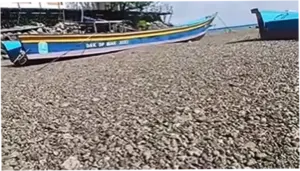 Fenomena Batu Apung di Perairan Papua: Asal Usul dan Dampaknya