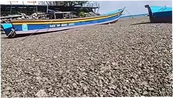 Fenomena Batu Apung di Perairan Papua: Asal Usul dan Dampaknya