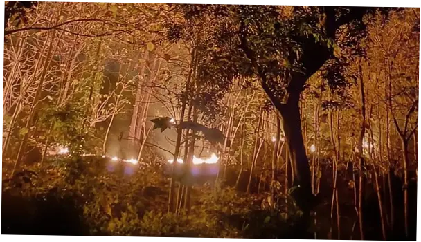 Kebakaran Hutan di Ponorogo: 3 Hektare Lahan Terbakar Diduga Akibat Puntung Rokok