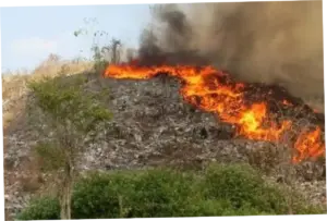 Kebakaran TPA Pakusari Jember: Dampak dan Upaya Penanggulangan