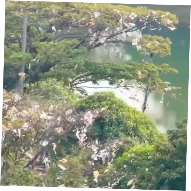 Pohon di Pinggir Kali Sunter Jakut Ini Jadi Sarang Layangan Nyangkut